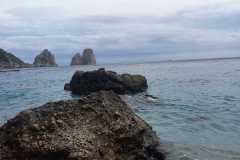 IMG-20241001-WA0031