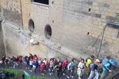 IMG-20241001-WA0042