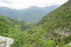 IMG_0278