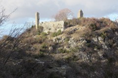 IMG_7524