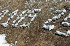 IMG-20250501-WA0068