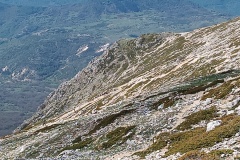 IMG_20250501_104332
