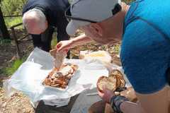 IMG-20250406-WA0023