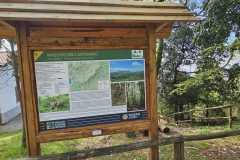 IMG-20250406-WA0031