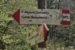IMG-20250406-WA0044