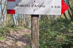IMG-20250406-WA0060