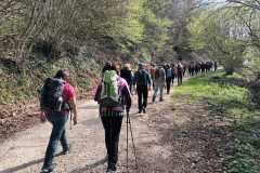 IMG-20250406-WA0066