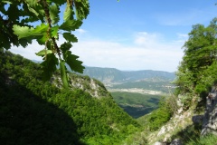 DSC02070