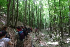 DSC02175