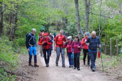 IMG_20240421_11
