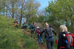 IMG_20240421_123009