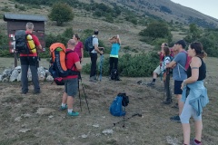 IMG_20240811_065333