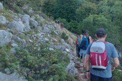 IMG_20240811_072522
