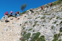 IMG_20240811_092409