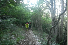 DSCN9849