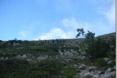 DSCN9864