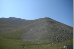 DSCN9918
