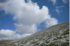 DSCN9931