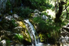 DSC00738