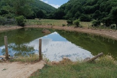 IMG_20240623_094644