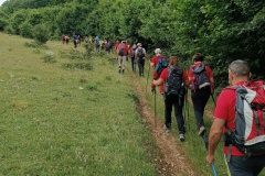 IMG_20240623_095912