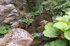 IMG_20240623_103522
