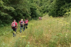 IMG_20240623_103600