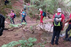 IMG_20240623_103746