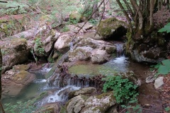IMG_20240623_104116