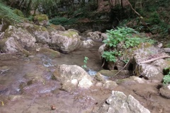 IMG_20240623_104632