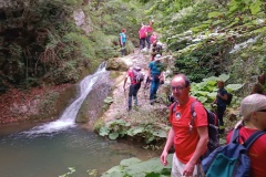 IMG_20240623_104702
