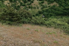 IMG_20240623_123135