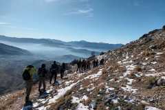 IMG-20241124-WA0017
