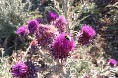 IMG-20240721-WA0008