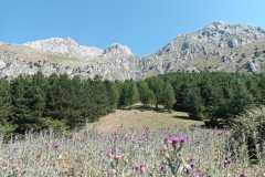 IMG-20240721-WA0010