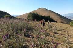 IMG-20240721-WA0014