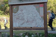 IMG_20240721_074530