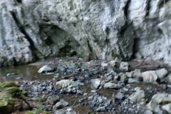 IMG_20231119_092701