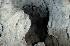 IMG_20231119_092758