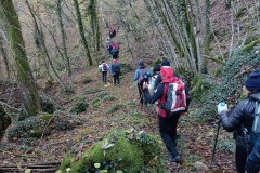 IMG_20231119_095631