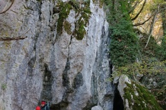 IMG_20231119_103512