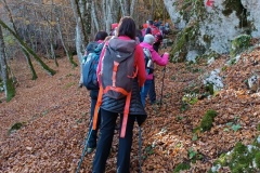 IMG_20231119_112621