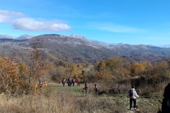 IMG_20231119_120839