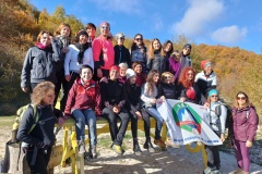 IMG_20231119_121524