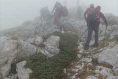 IMG-20231015-WA0026