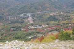 IMG_1664