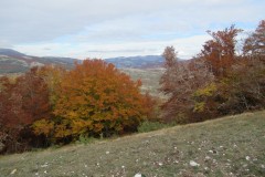IMG_1689