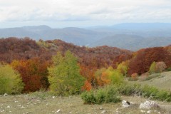 IMG_1691