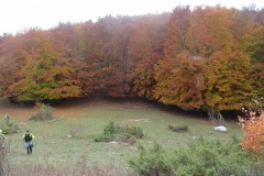 IMG_1693