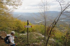 IMG_1701